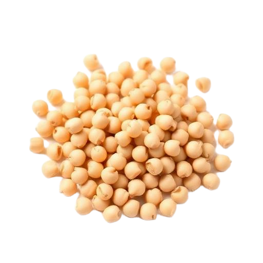 Garbanzo