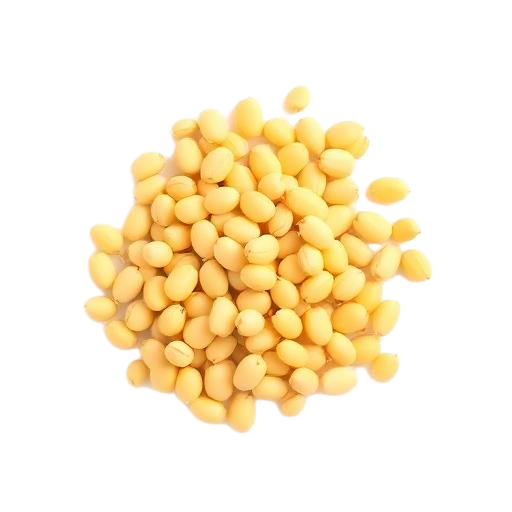 Frijol Azufrado