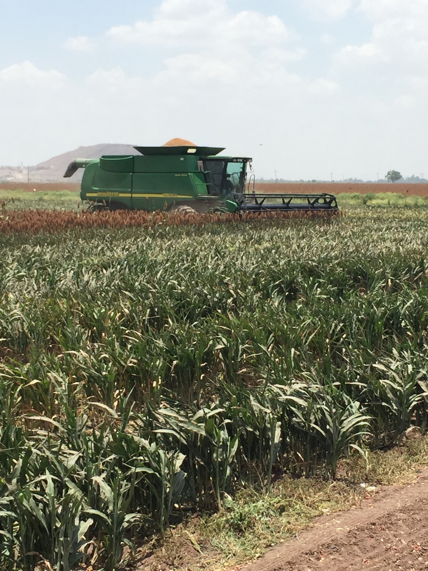 Cosechadora John Deere en sorgo